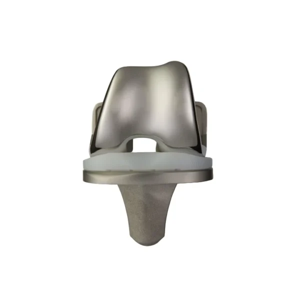 Foundation® Knee System