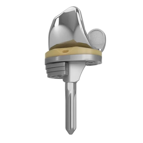 EMPOWR™ Complex Primary Knee