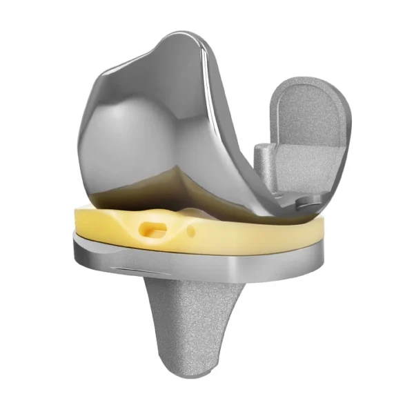EMPOWR CR® Knee
