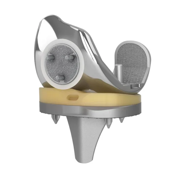 EMPOWR Porous™ Knee