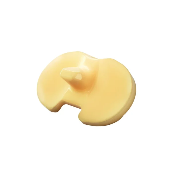 EMPOWR PS Knee® - Image 2