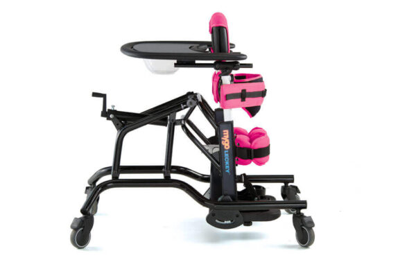 Mygo Stander - Image 3
